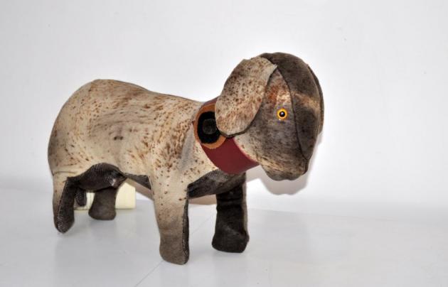 Yarrenyty Arltere Artists, Janella Ebatarinja, dog with collar