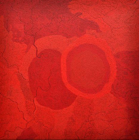 Tjungu Palya, Keith Stevens, Piltati