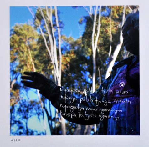 Tjala Arts, Rhonda Dick - My Great-Grandmother's Country. My Grandfather's mother's Birthplace, 2012