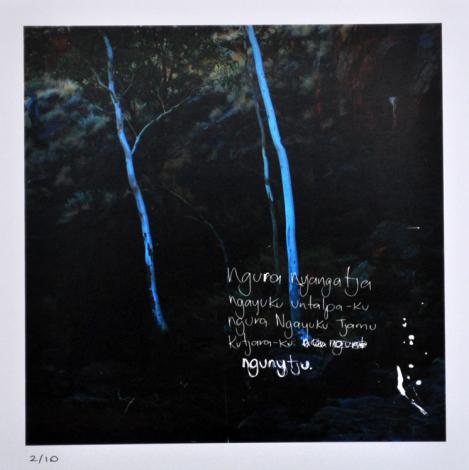 Tjala Arts, Rhonda Dick, 'My Great-Grandmother’s country. My 2 Grandfather’s mother’s Birthplace', 2012