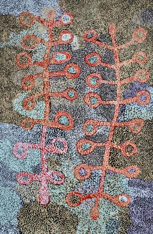 Tjala Arts, Tjampawa Katie Kawiny, Kaliny-kalinypa - Desert Grevillea, #080-12