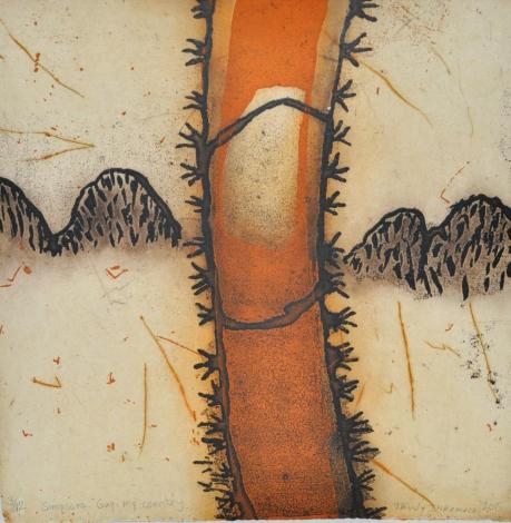 Yarrenyty Arltere Artists, Trudy Inkamala, Simpsons gap, my country